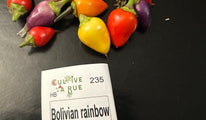 Bolivian rainbow