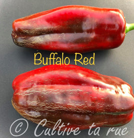 Buffalo red