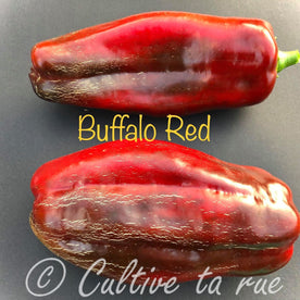 buffalo red