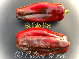 buffalo red