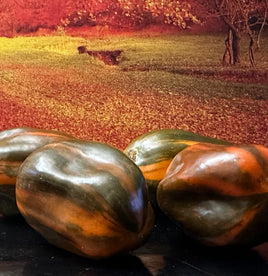 Candy cane chocolat cherry