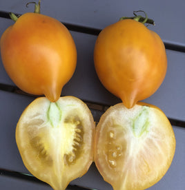 Citrus orchard multiflora