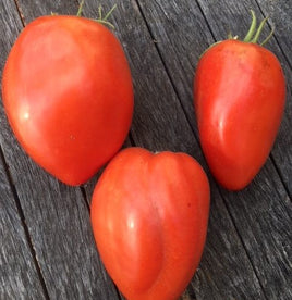 Coeur de Boeuf à Facettes