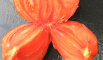 corazon de toro2
