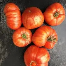 Fiche tomate