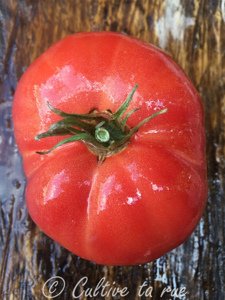 Glesener – Cultive ta rue