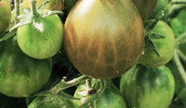 grinch cherry (2) cc