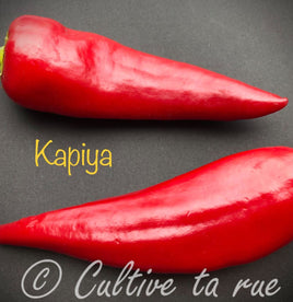 Kapiya