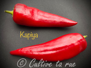 kapiya