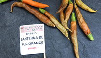 lanterna de fog orange-84 (2)