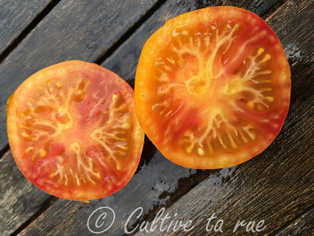 lava flow tomato seeds Lava flow – Cultive ta rue