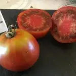 Les tomates noires