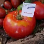 Les tomates rouges