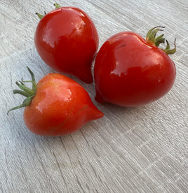 Merveille de bastogne