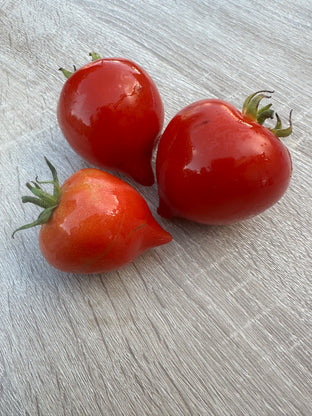 Merveille de bastogne