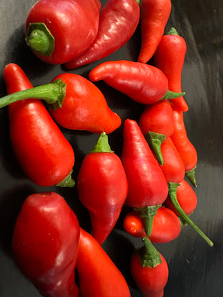 Naga yaki pink panther