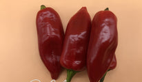 piquillo de lodosa-258 (1)