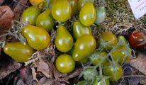 poire-verte