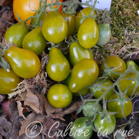 poire-verte