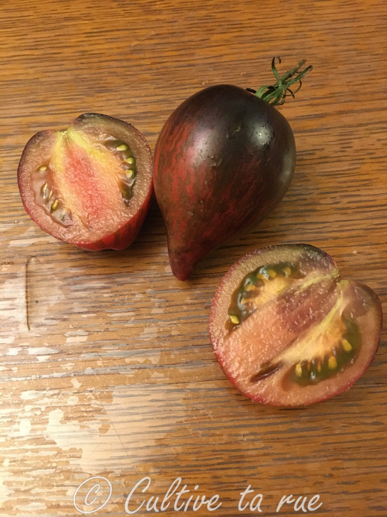 10 Graines De Tomate Rare Rebel Starfighter Prime Tomato Seeds Méth.bio | EBay - Foto 7