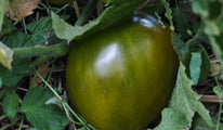 Nathanaël