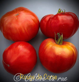 Rouge de Corse