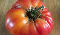 tricolor2