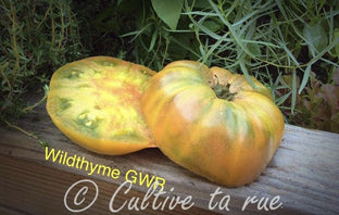 wildthyme gwr