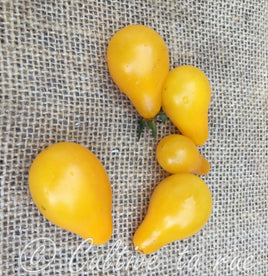 Yellow pearshaped